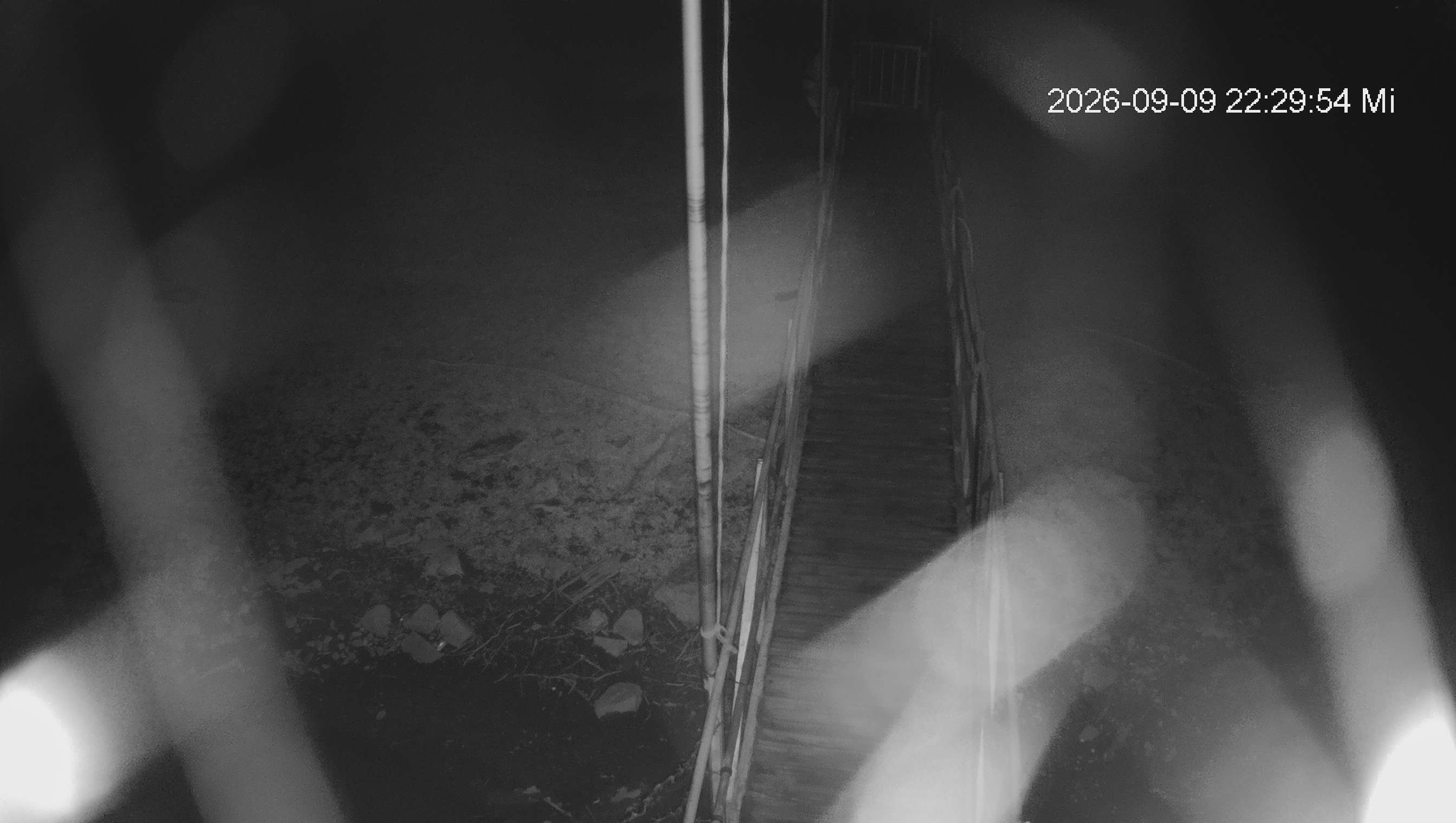 Webcam img missing